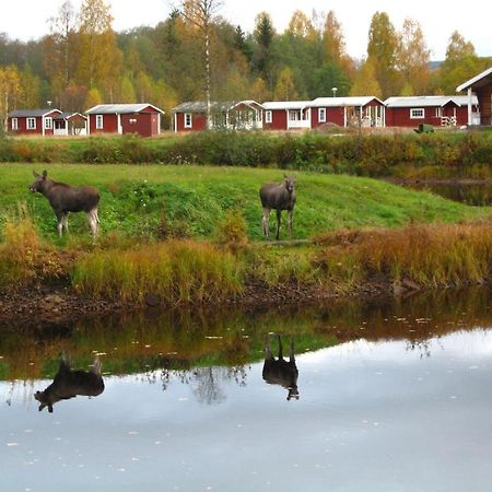 Klaraelvens Camping Stöllet Zimmer foto