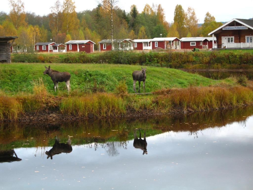 Klaraelvens Camping Stöllet Zimmer foto